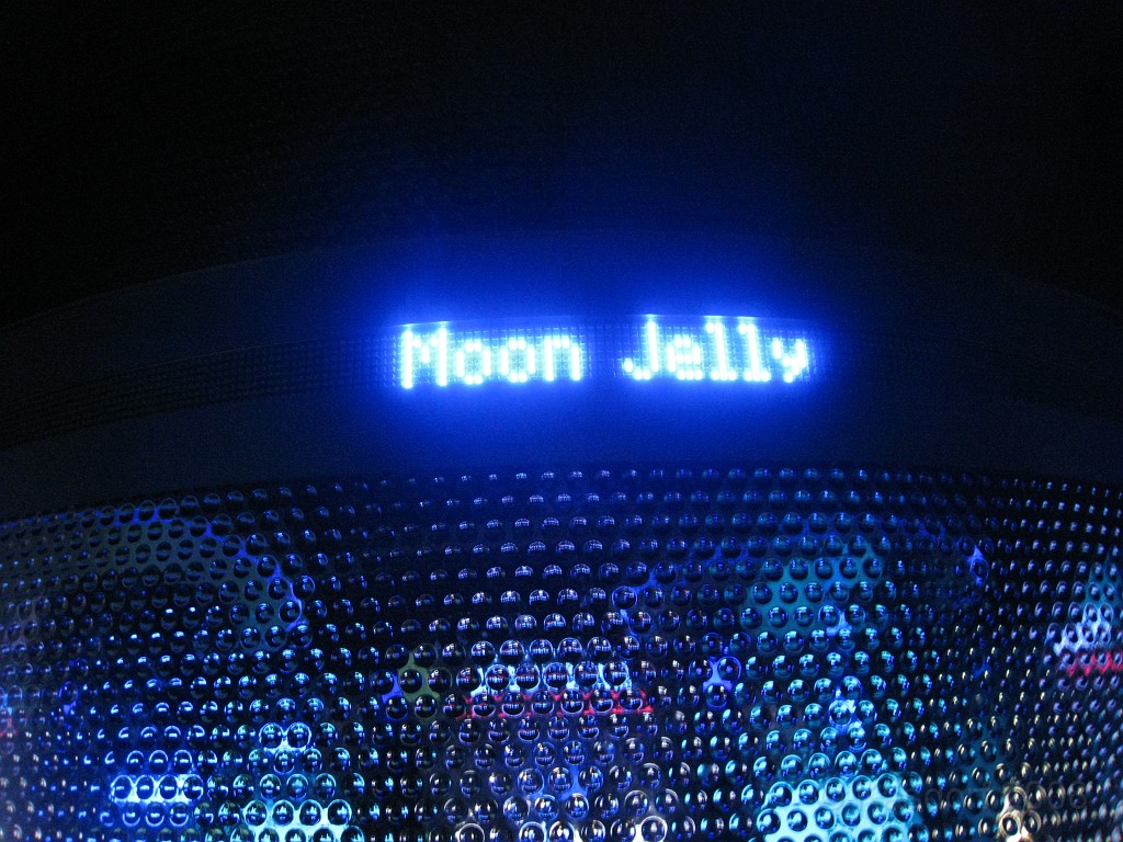 Baltimore MD 2009 1110.jpg - A 4th of July trip to Washington DC in 2009 included a stop in Baltimore MD to see the National Aquarium.